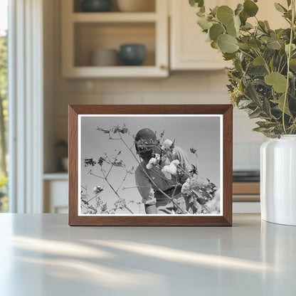 Cotton Picking at Lake Dick Project Arkansas 1938 - Available at KNOWOL