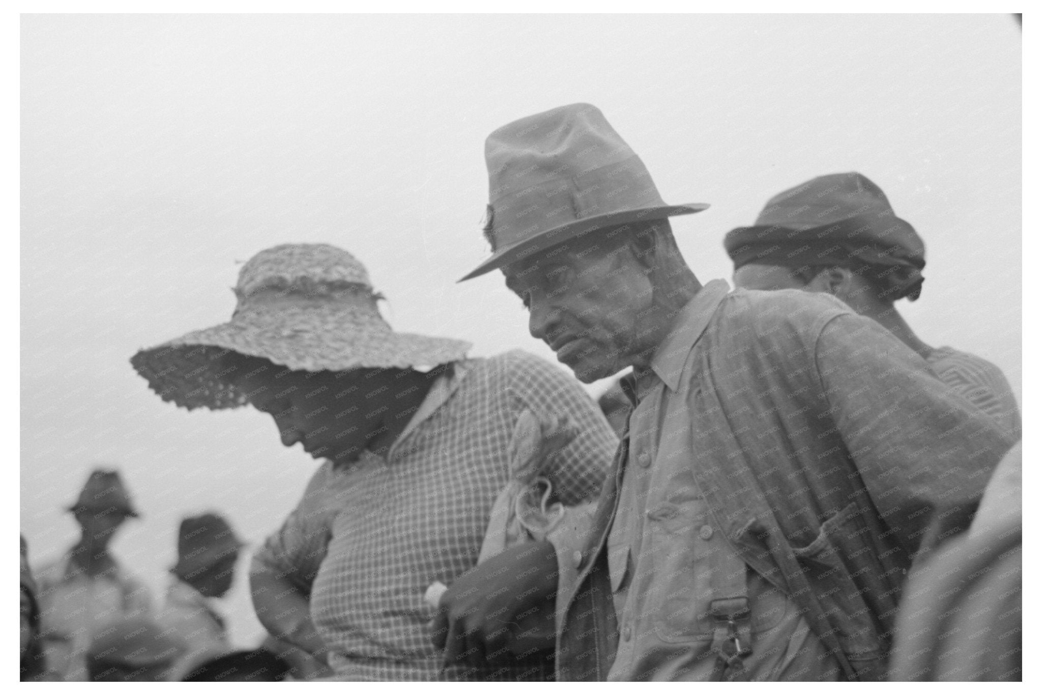 Cotton Picking Laborer in Arkansas September 1938 - Available at KNOWOL