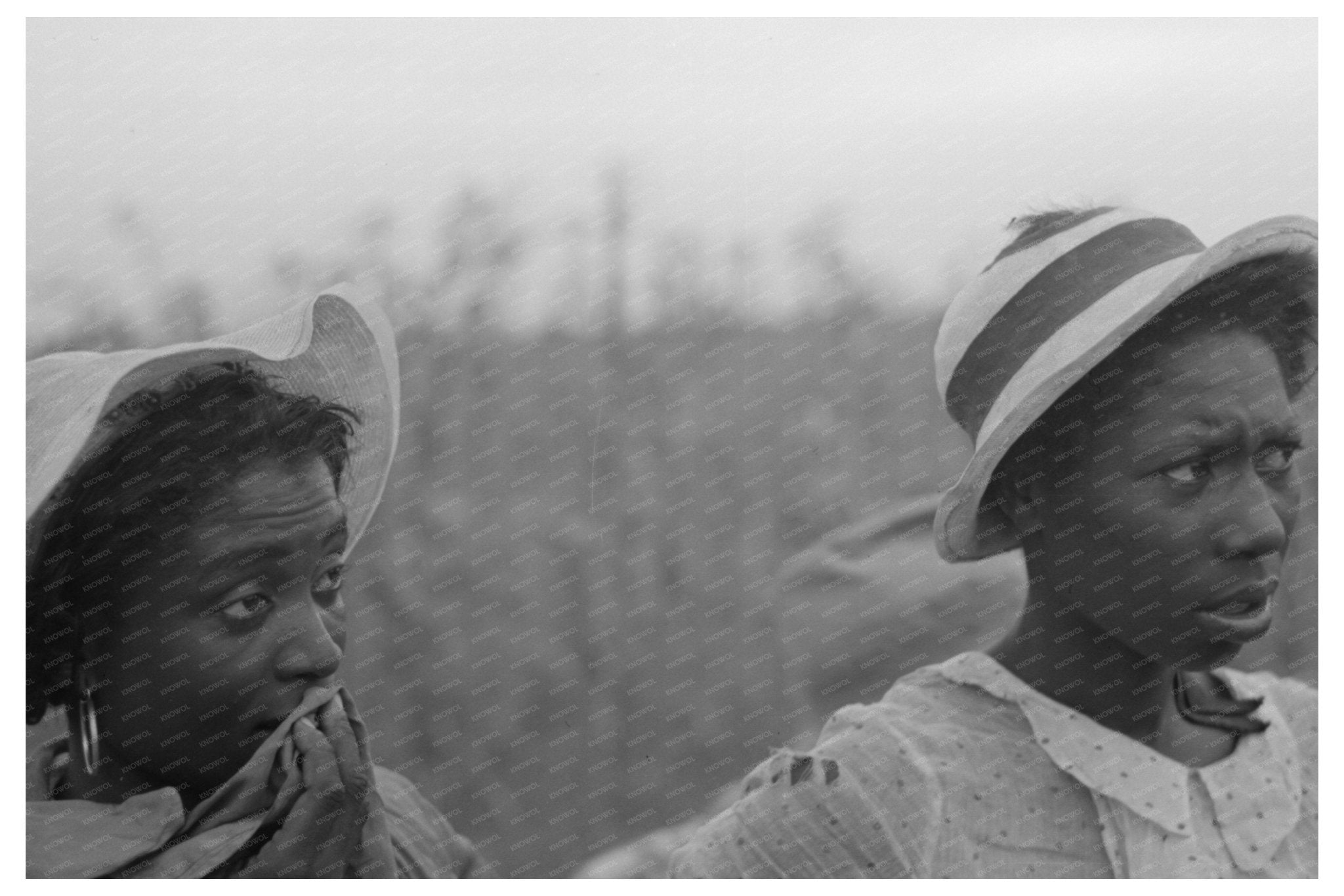 Cotton Picking Laborers at Lake Dick Arkansas 1938 - Available at KNOWOL