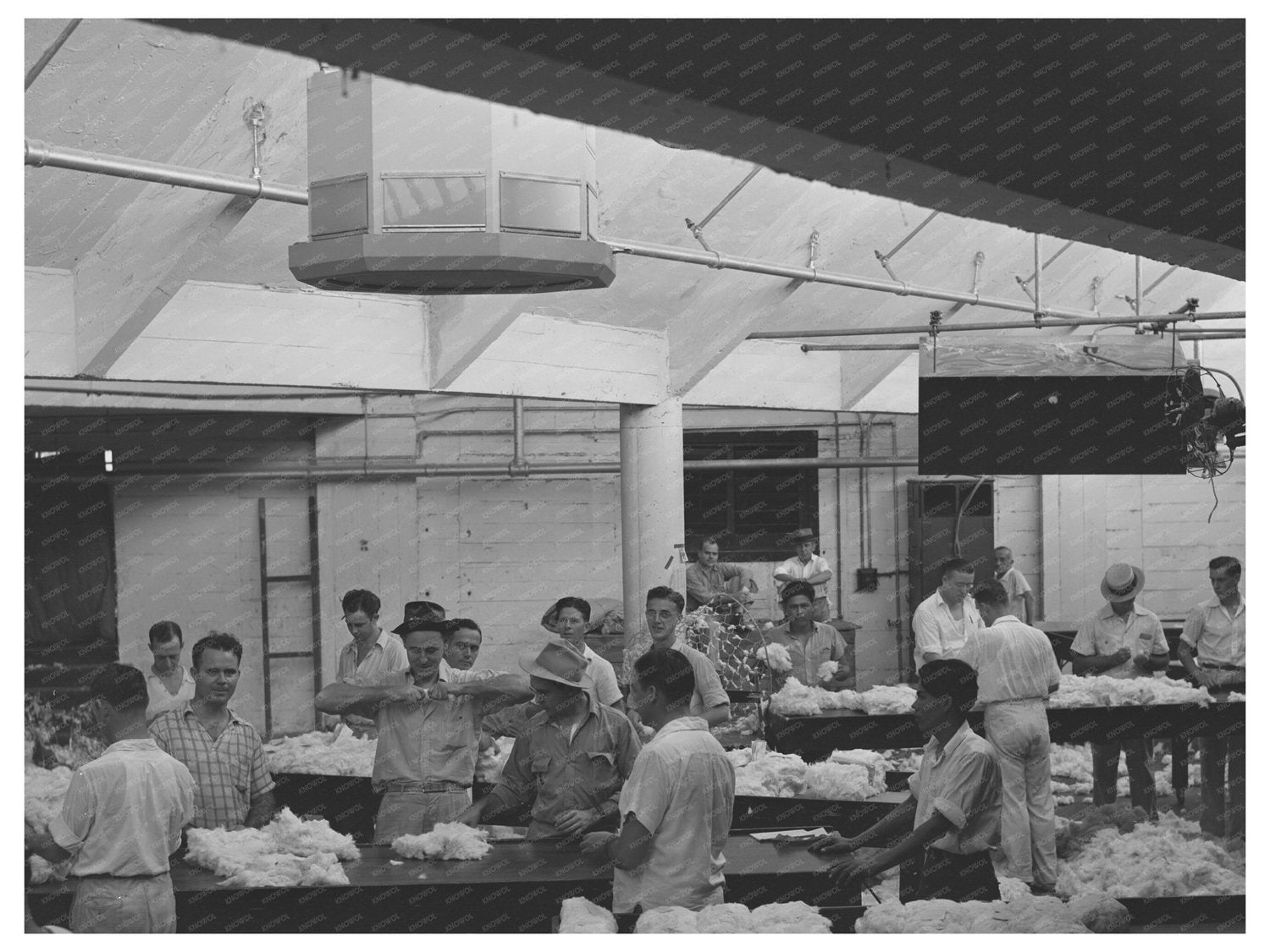 Cotton Sampling and Grading in Houston Texas 1939 - Available at KNOWOL