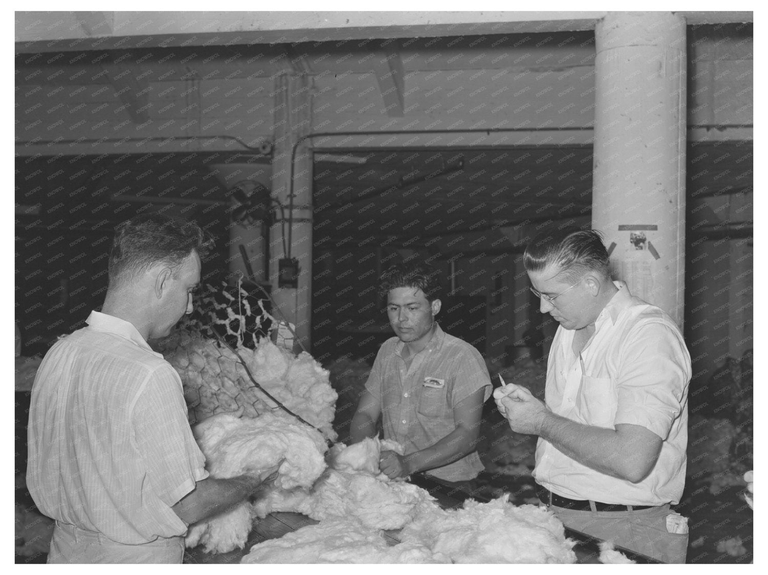 Cotton Sampling Expertise in Houston Texas 1939 - Available at KNOWOL