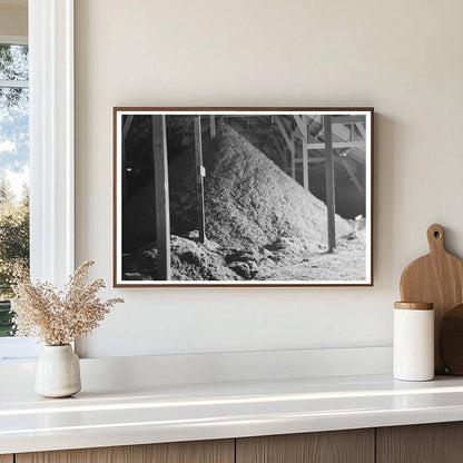 Cotton Seed Hulls at Waco Oil Mill November 1939 - Available at KNOWOL