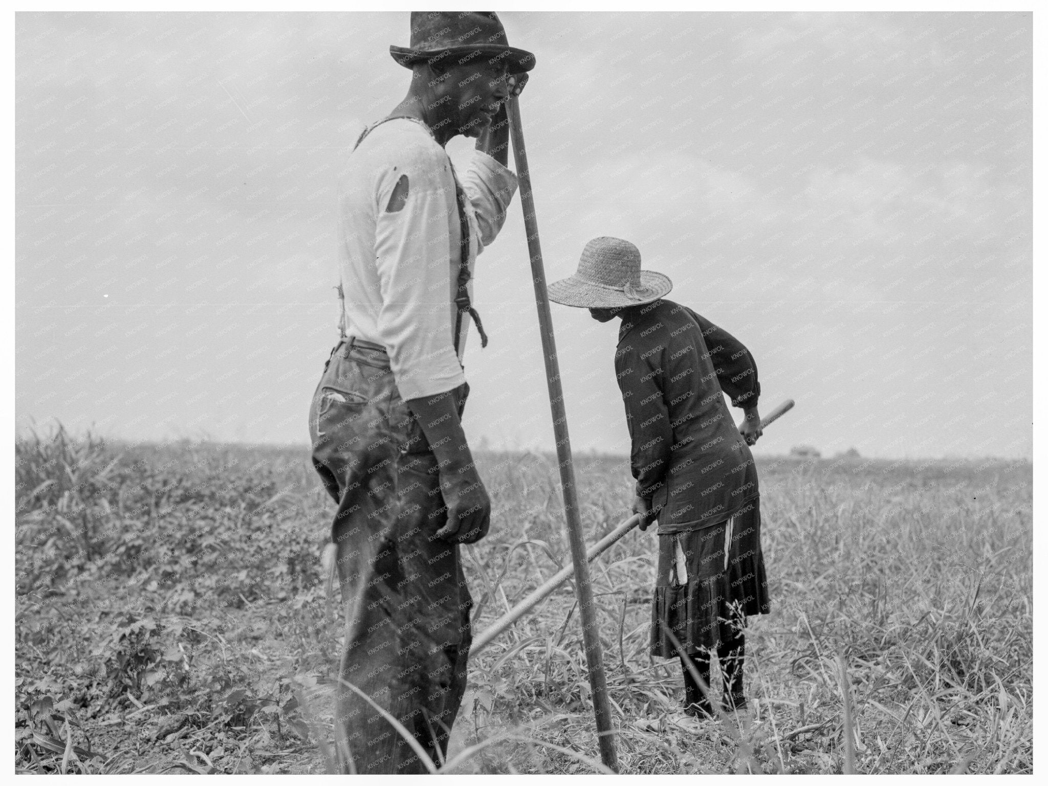 Cotton Sharecroppers Greene County Georgia 1937 - Available at KNOWOL