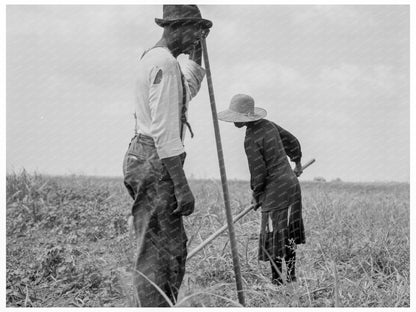 Cotton Sharecroppers Greene County Georgia 1937 - Available at KNOWOL