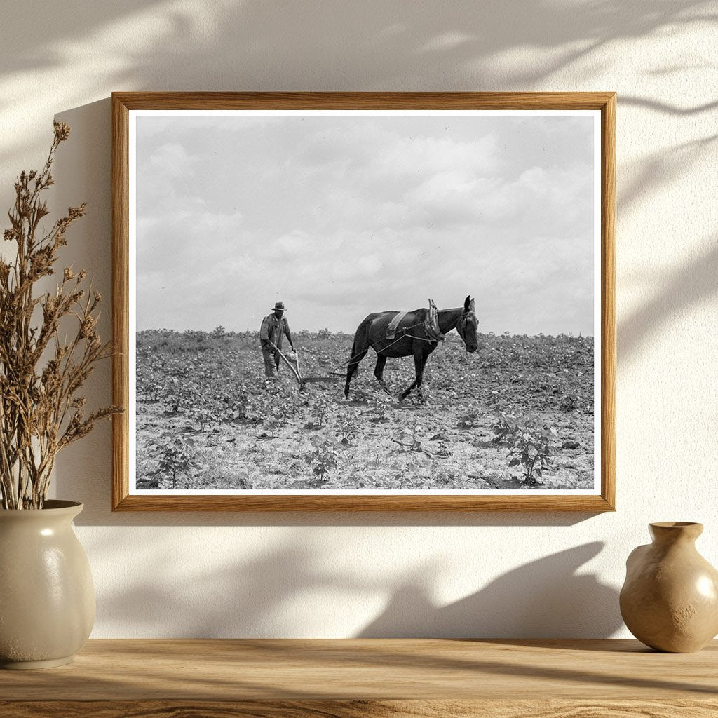 Cotton Sharecroppers Unit Georgia July 1937 - Available at KNOWOL