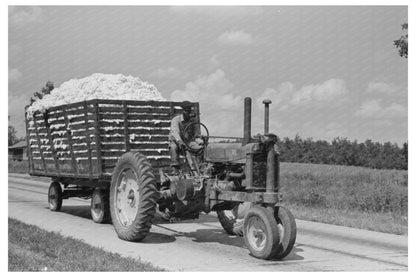 Cotton Transport Method in Lehi Arkansas September 1938 - Available at KNOWOL