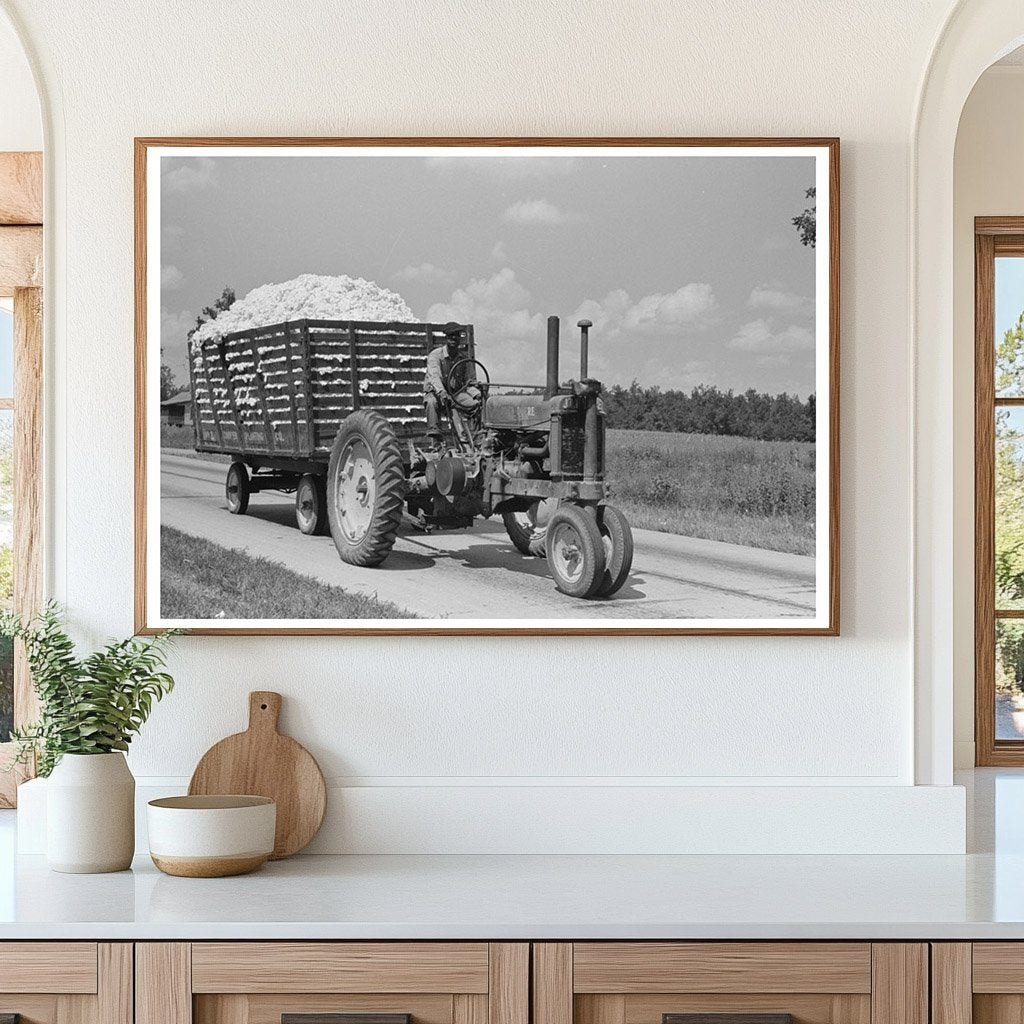 Cotton Transport Method in Lehi Arkansas September 1938 - Available at KNOWOL