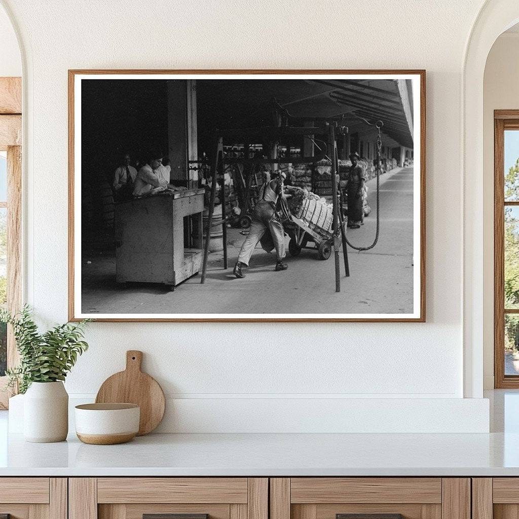 Cotton Unloading at Houston Compress October 1939 - Available at KNOWOL