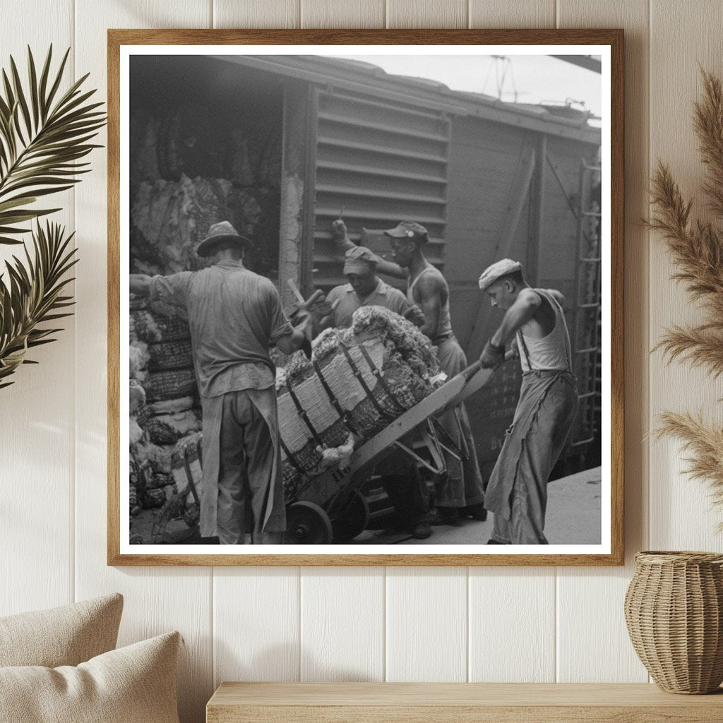 Cotton Unloading at Houston Freight Car 1939 - Available at KNOWOL