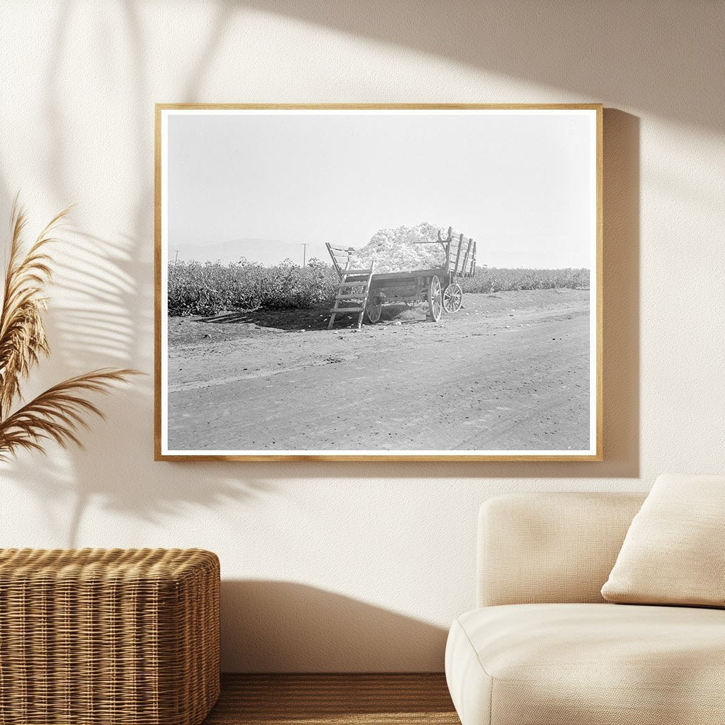 Cotton Wagon in Southern San Joaquin Valley 1936 - Available at KNOWOL