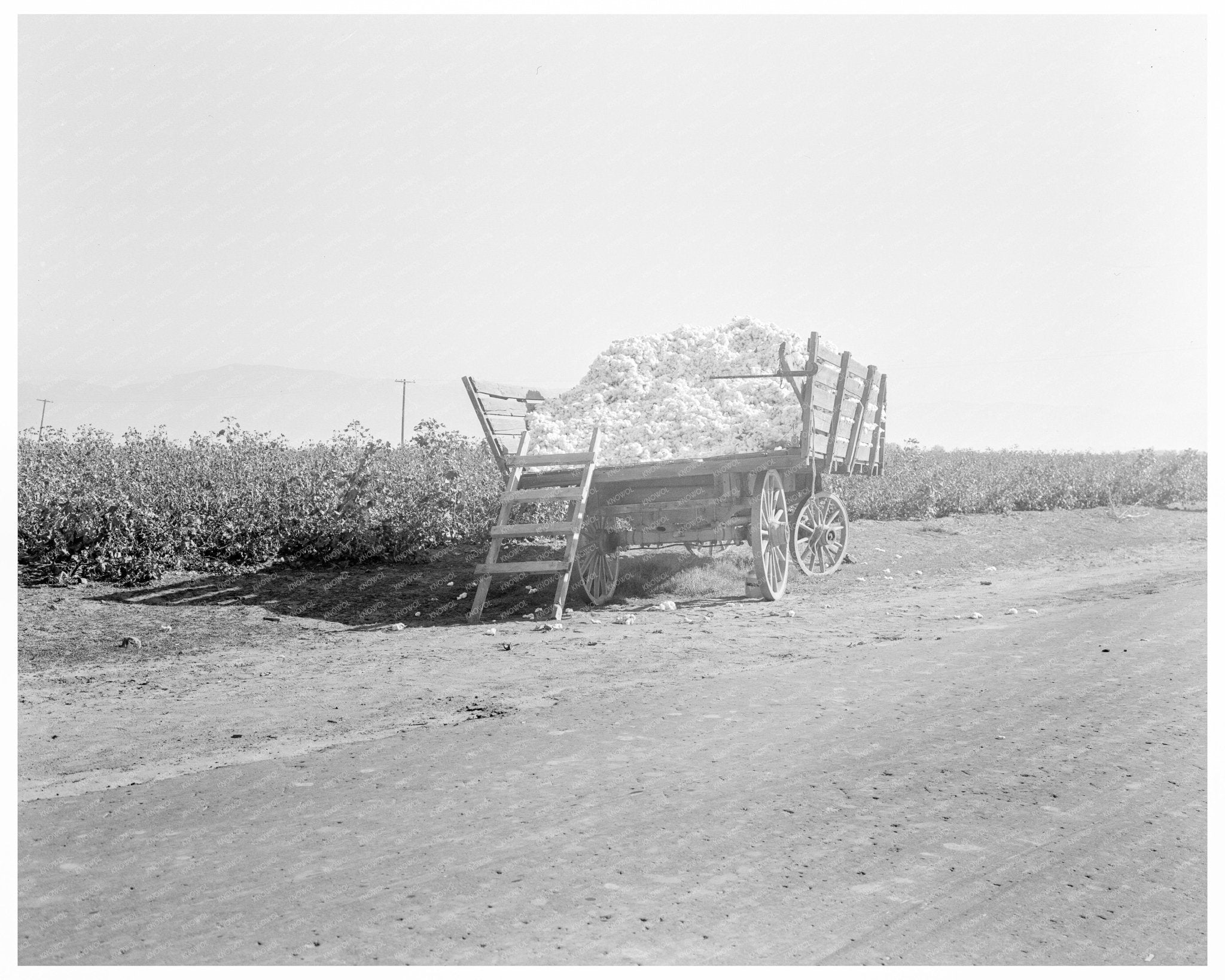 Cotton Wagon in Southern San Joaquin Valley 1936 - Available at KNOWOL