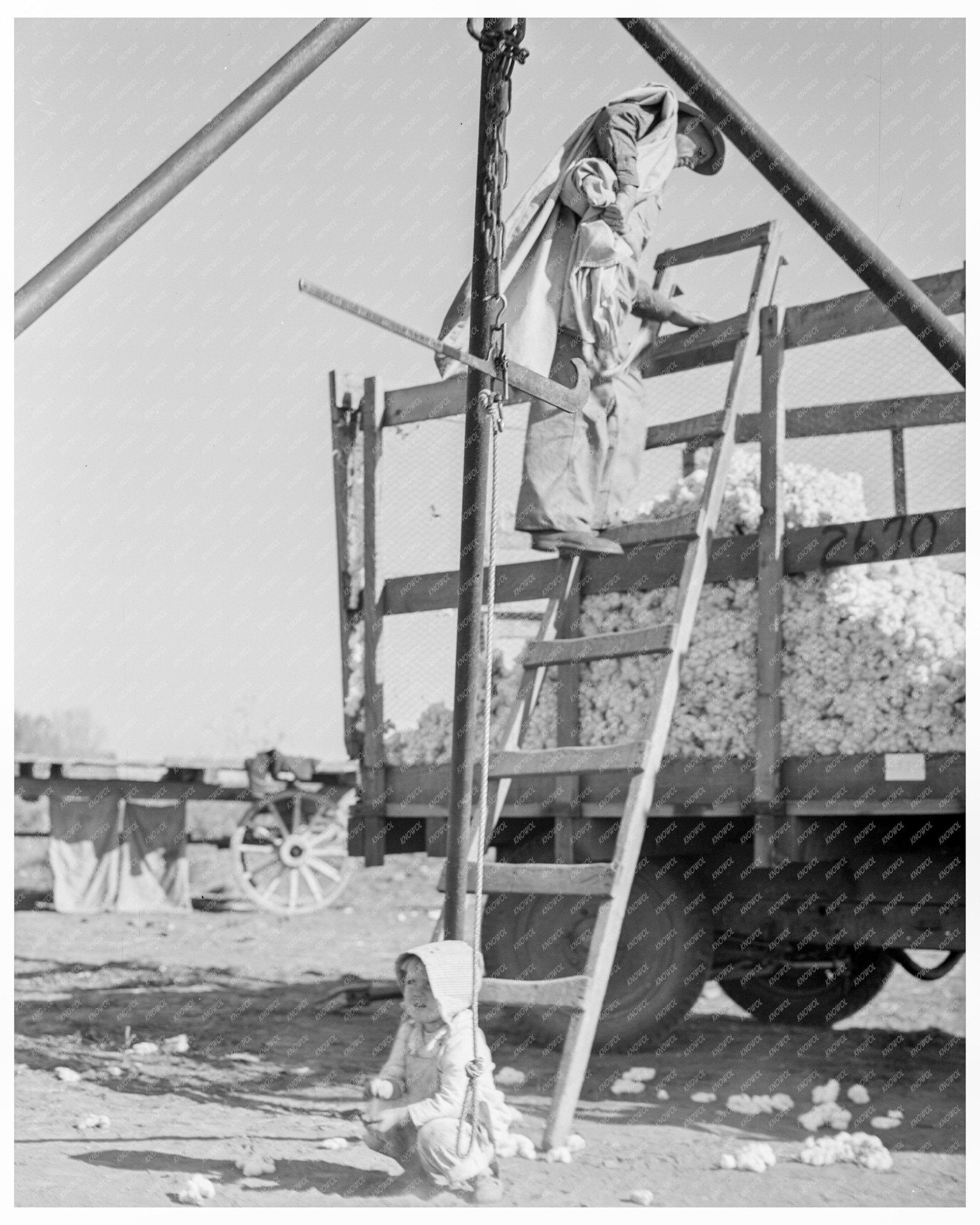 Cotton Weigher in Southern San Joaquin Valley California November 1936 - Available at KNOWOL