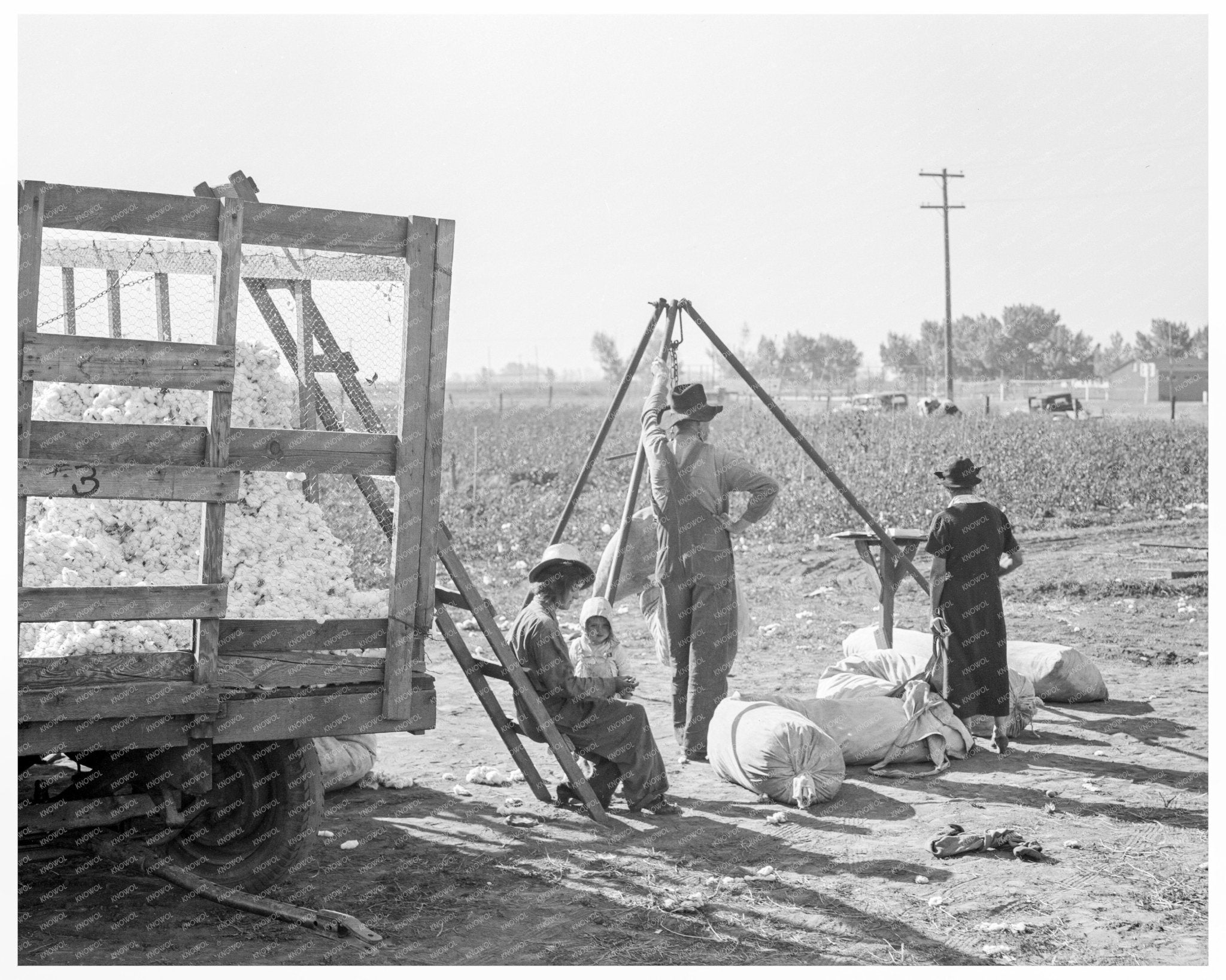 Cotton Weigher Southern San Joaquin Valley 1936 - Available at KNOWOL