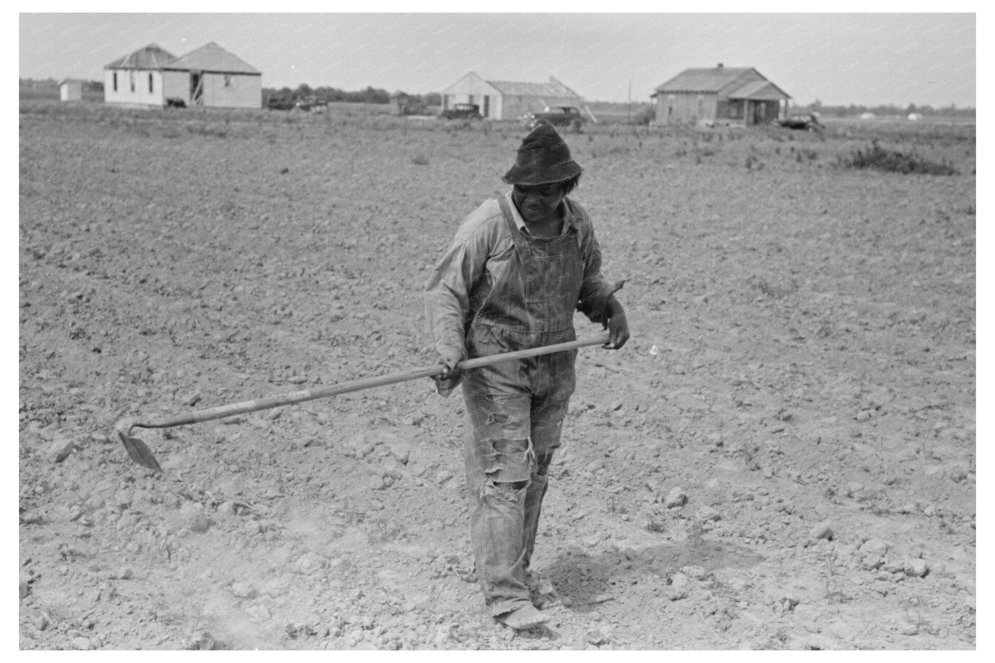 Cotton Worker in New Madrid Missouri May 1938 - Available at KNOWOL