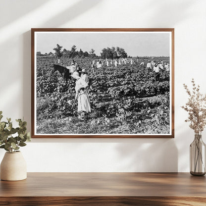 Cotton Workers at Aldridge Plantation June 1937 - Available at KNOWOL