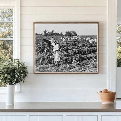 Cotton Workers at Aldridge Plantation June 1937 - Available at KNOWOL