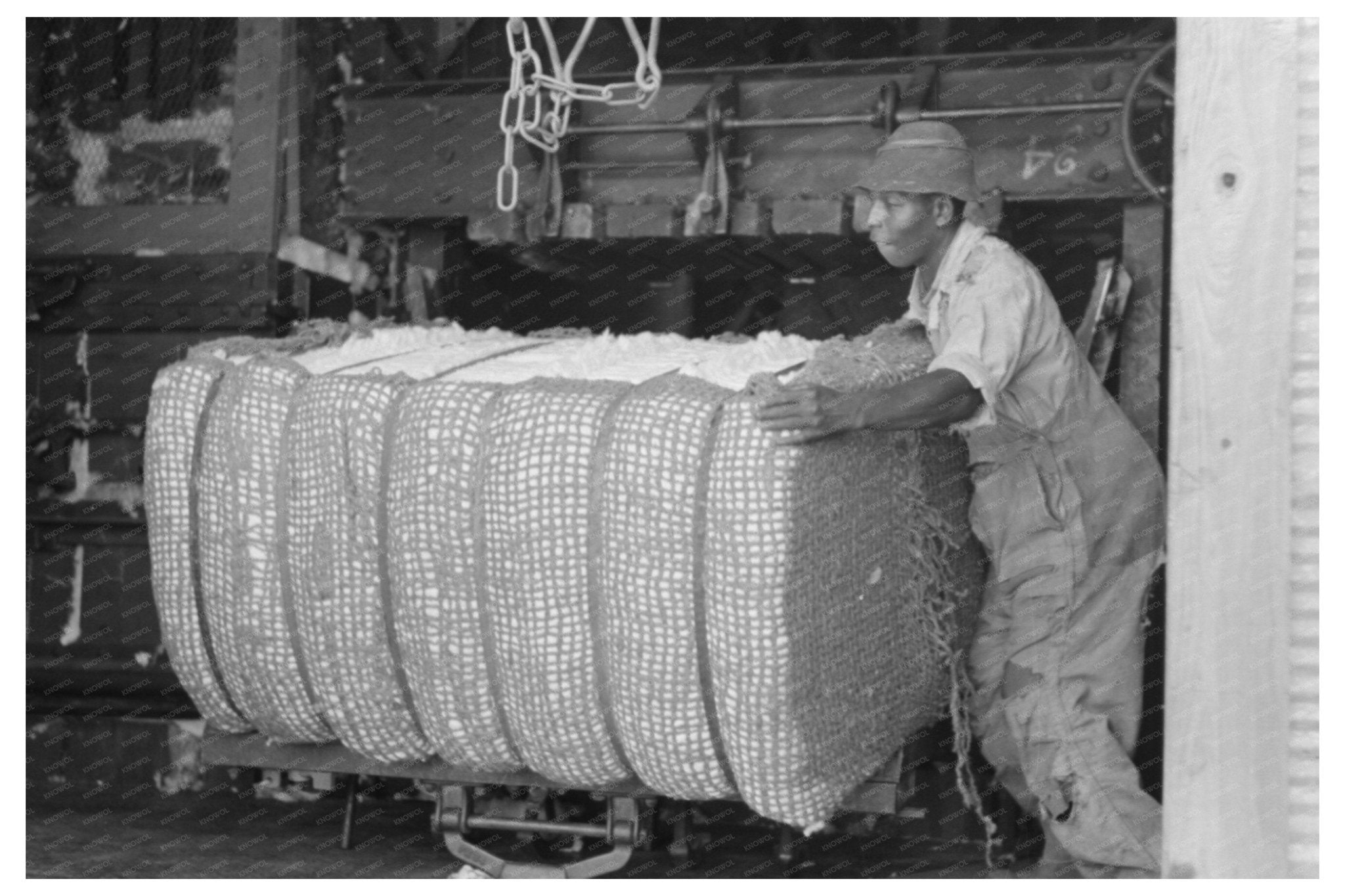 Cotton Workers at Gin Press Lehi Arkansas September 1938 - Available at KNOWOL