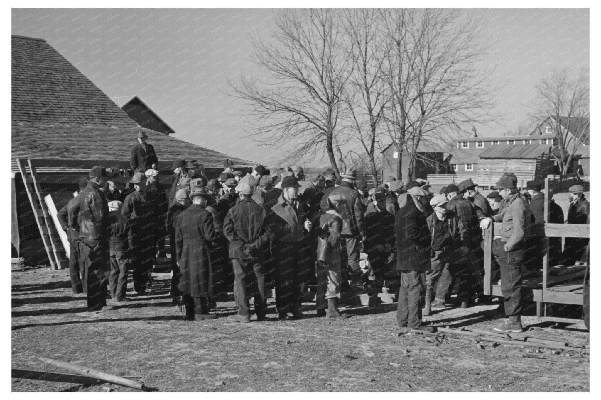 Country Auction in Aledo Illinois November 1936 - Available at KNOWOL