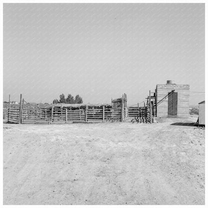 Country Slaughterhouse in Malheur County Oregon 1939 - Available at KNOWOL