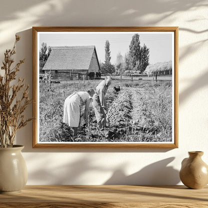 Couple Digging Sweet Potatoes Oregon 1939 - Available at KNOWOL