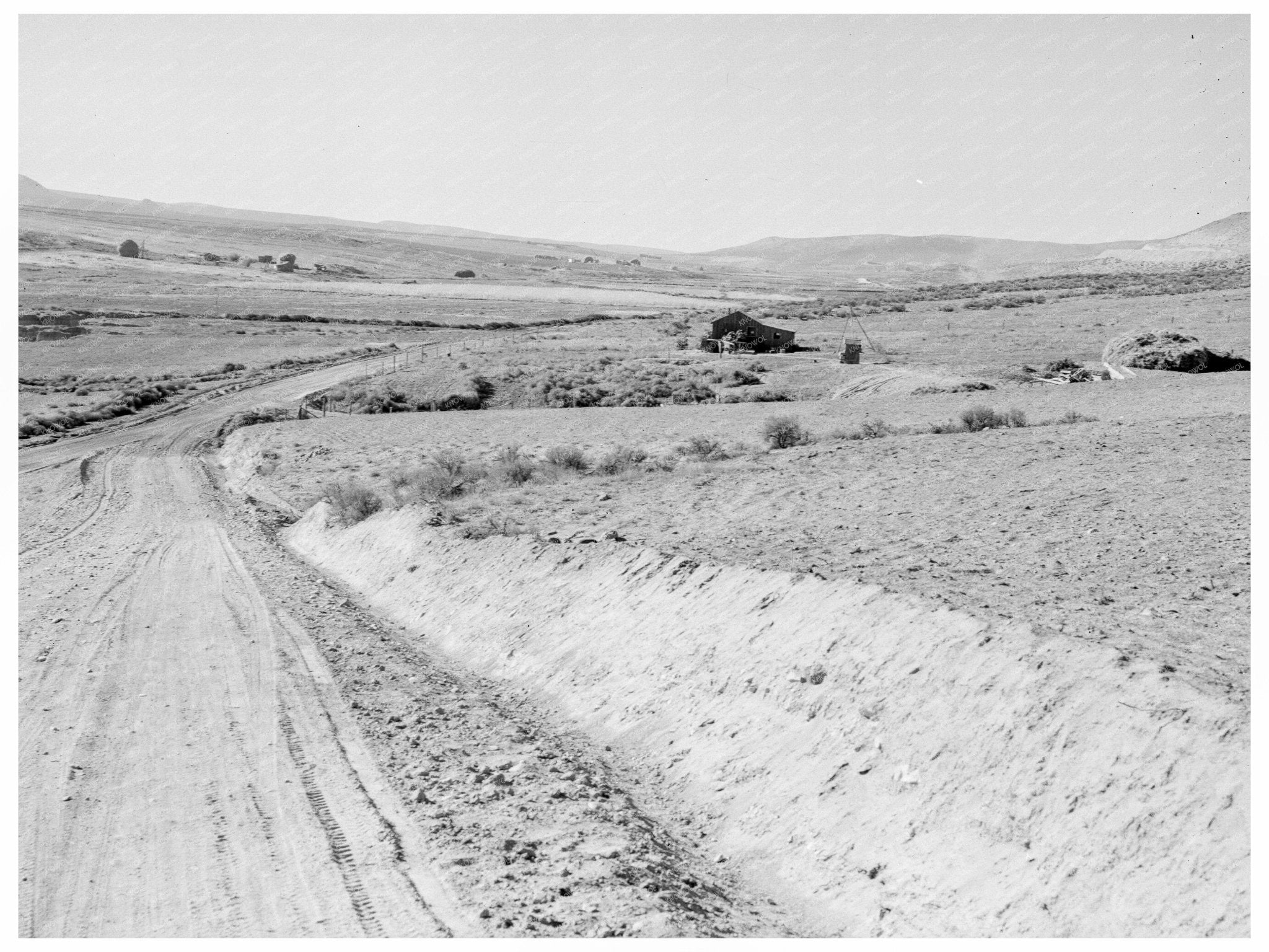 Cow Hollow Farmers Malheur County Oregon 1939 - Available at KNOWOL