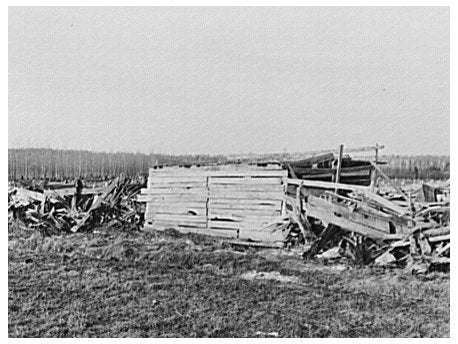Cow Shed and Stump Fence on Abandoned Farm 1937 - Available at KNOWOL