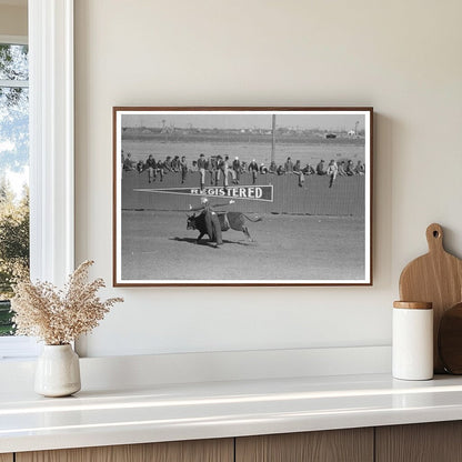 Cowboy Bucked Off Horse at San Angelo Rodeo 1940 - Available at KNOWOL