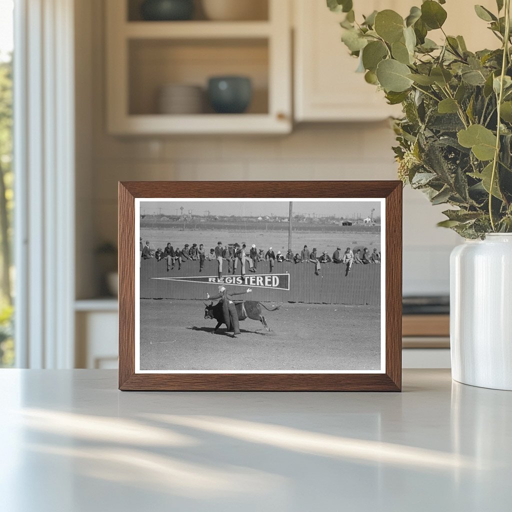 Cowboy Bucked Off Horse at San Angelo Rodeo 1940 - Available at KNOWOL