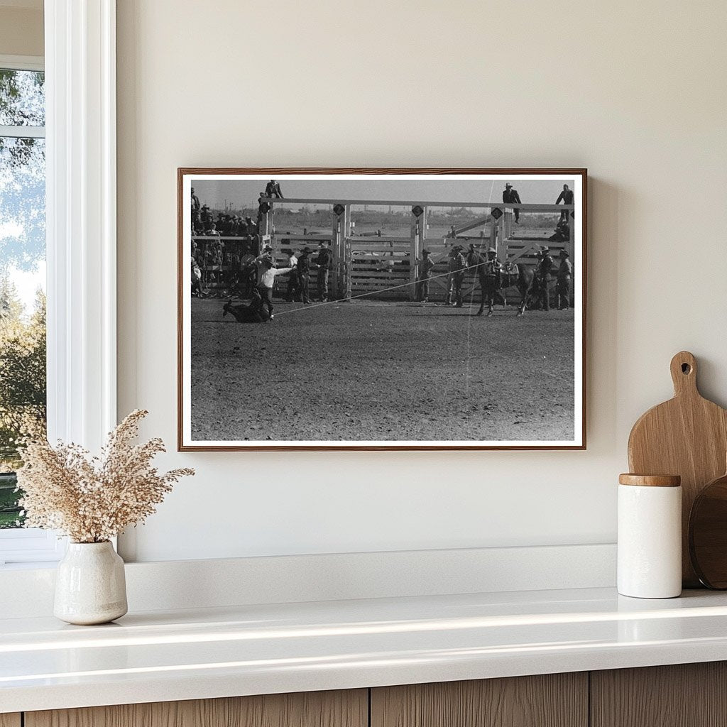 Cowboy Calf Roping at San Angelo Rodeo 1940 - Available at KNOWOL