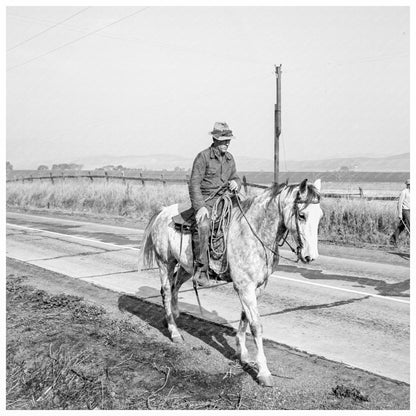 Cowboy Herding Cattle California 1938 - Available at KNOWOL