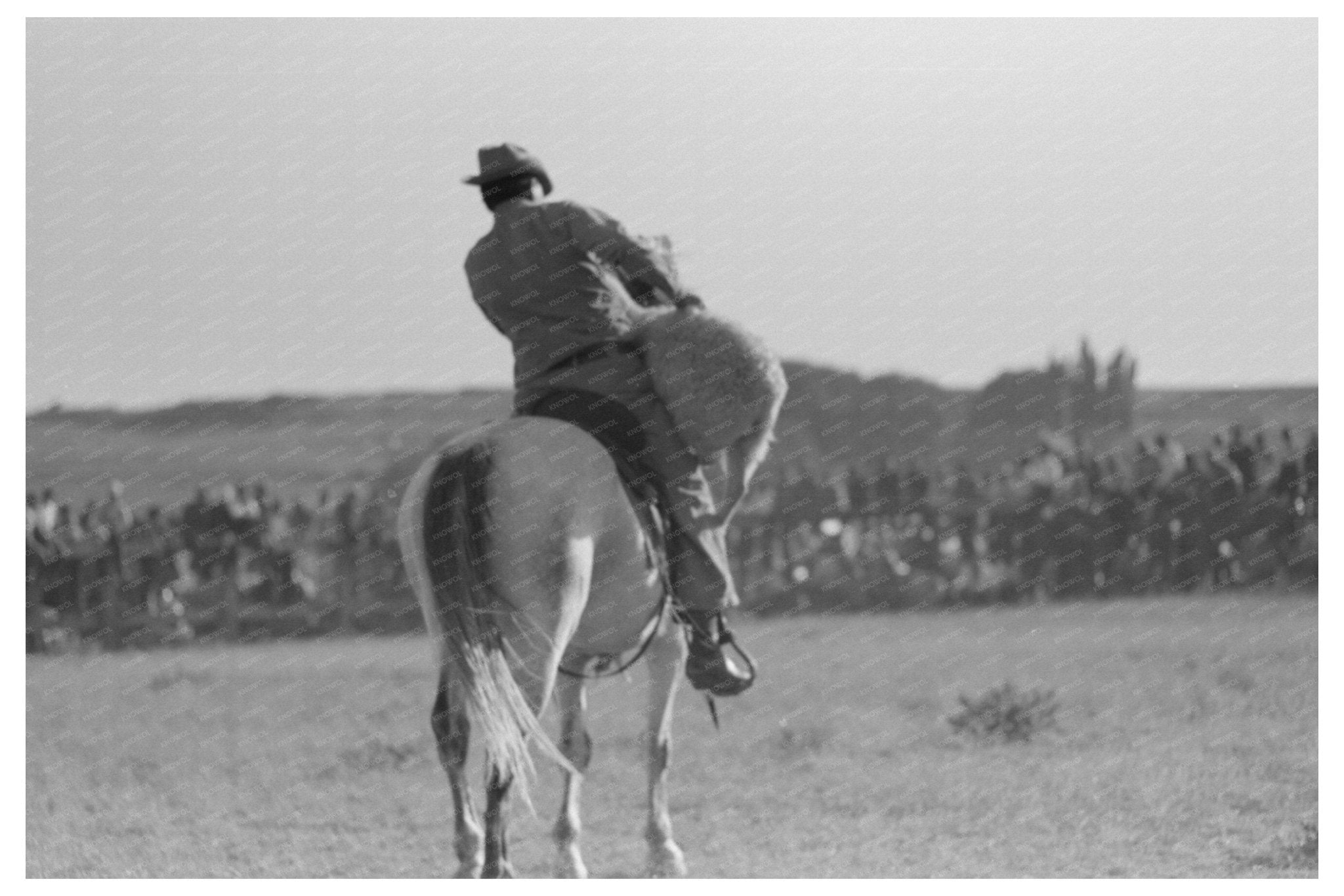 Cowboy on Horseback at Bean Day Rodeo September 1939 - Available at KNOWOL