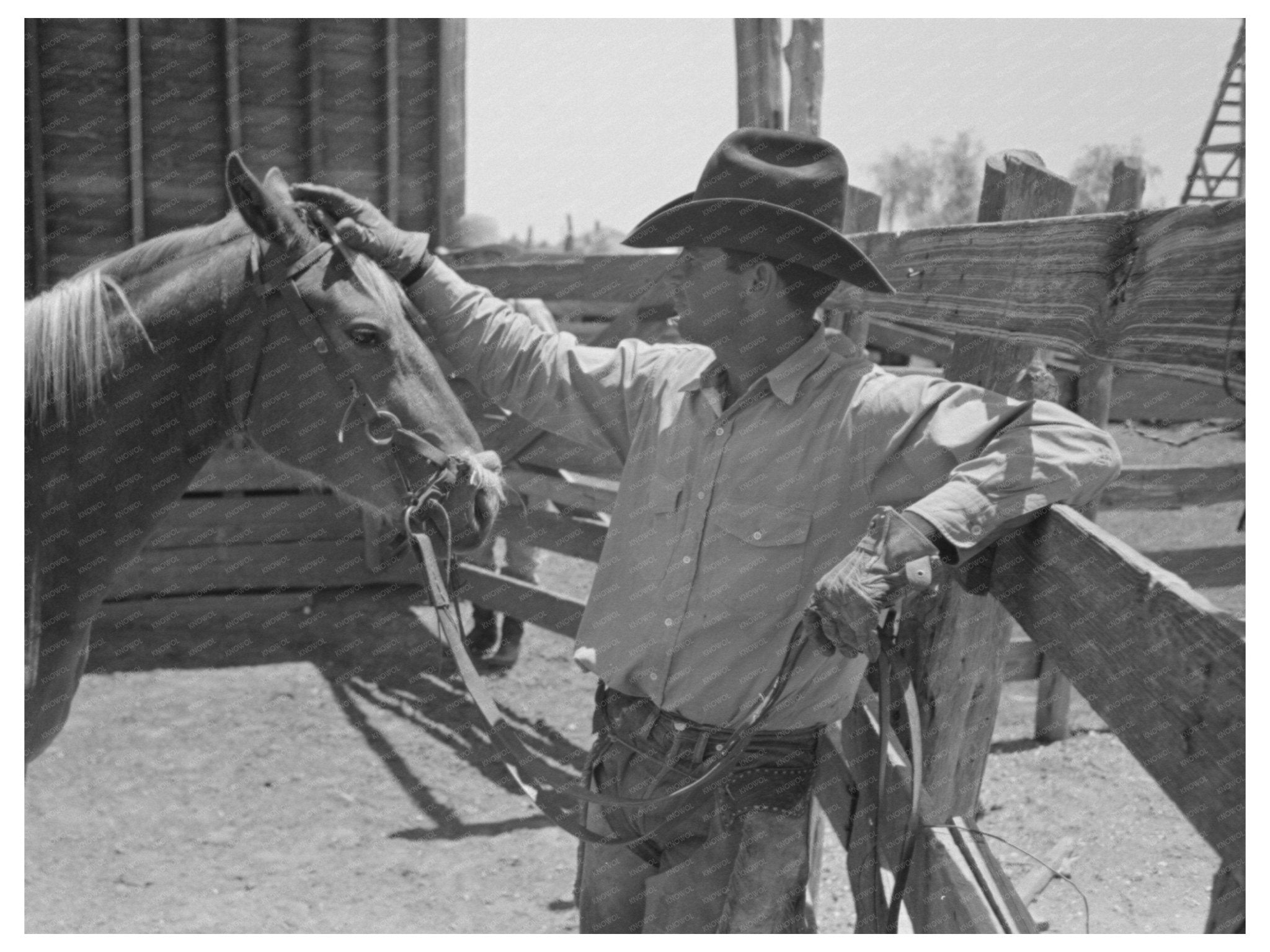 Cowboy Petting Horse at Texas Ranch May 1939 - Available at KNOWOL