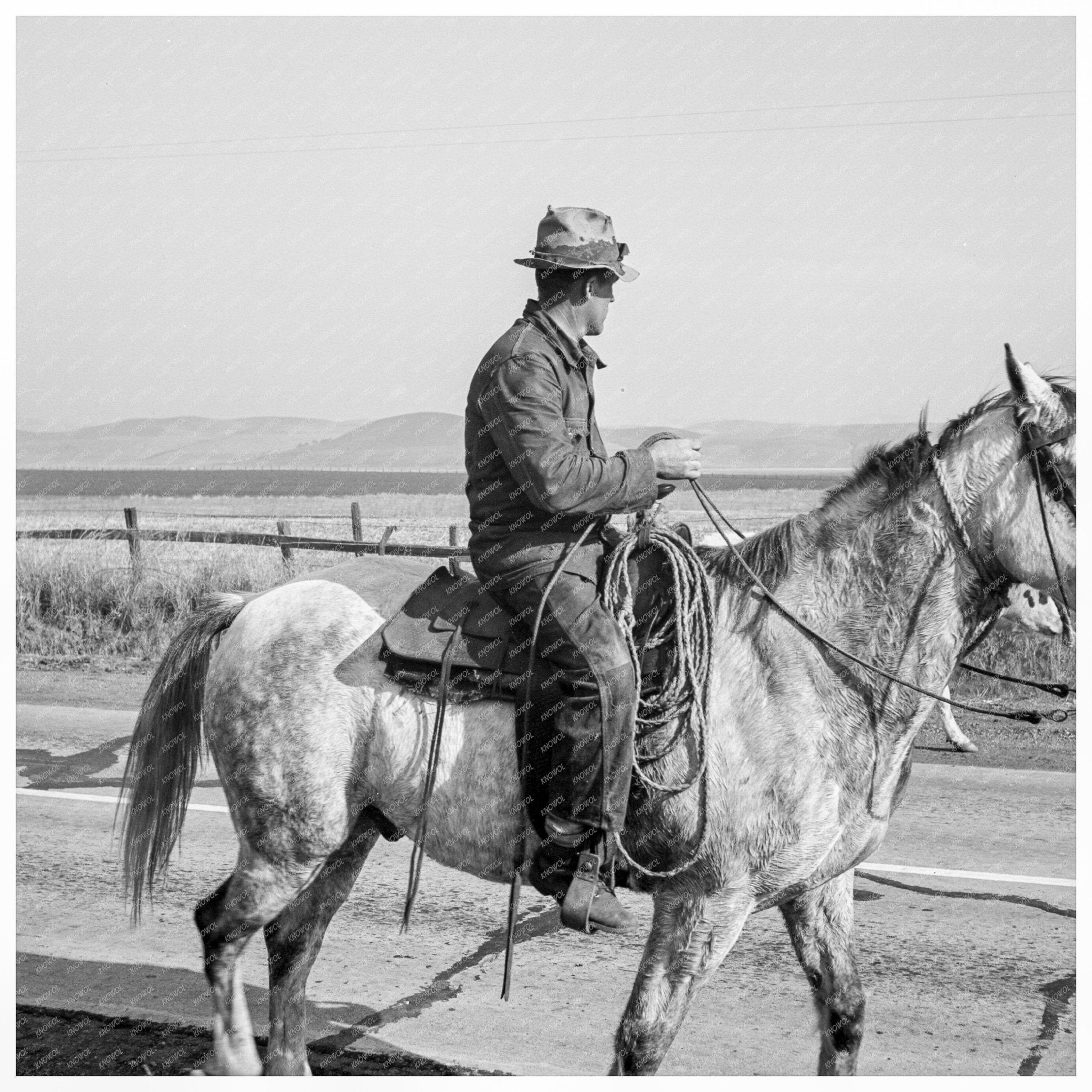 Cowboy Returning from Hills San Luis Obispo 1939 - Available at KNOWOL