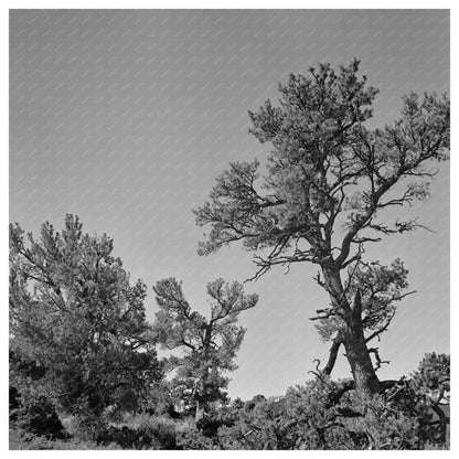 Craters of the Moon Idaho Vintage Photo August 1942 - Available at KNOWOL