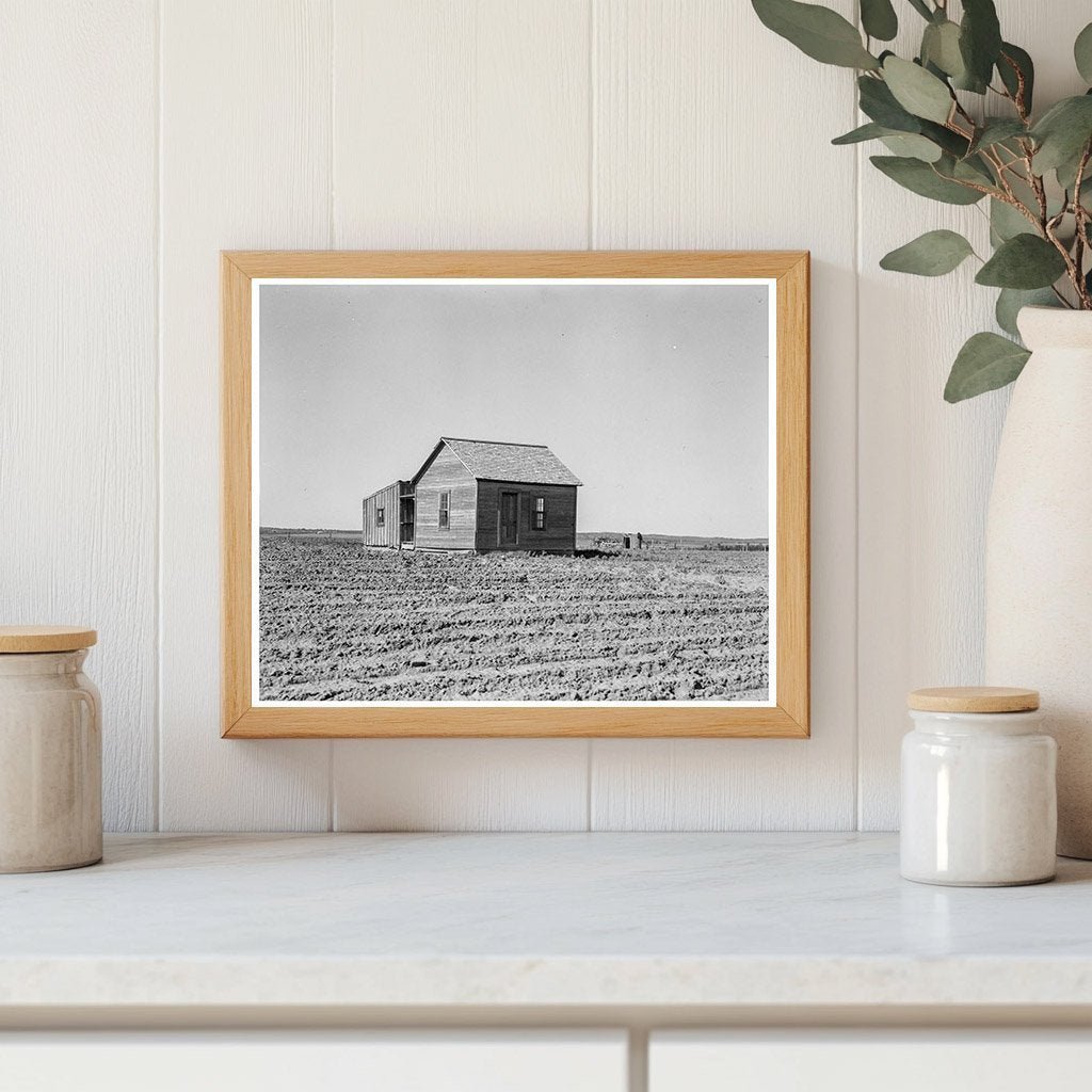 Cultivated Fields and Abandoned House Hall County Texas 1937 - Available at KNOWOL