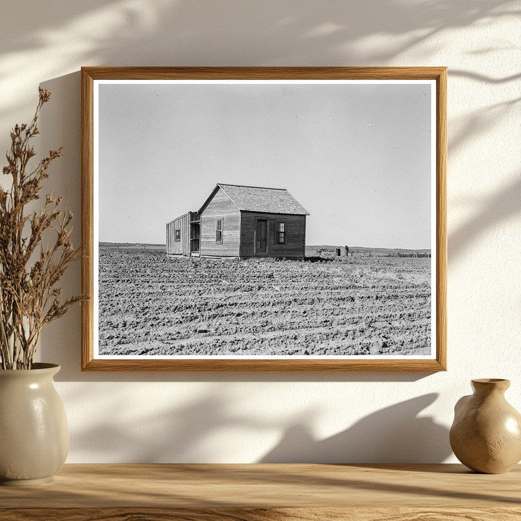 Cultivated Fields and Abandoned House Hall County Texas 1937 - Available at KNOWOL