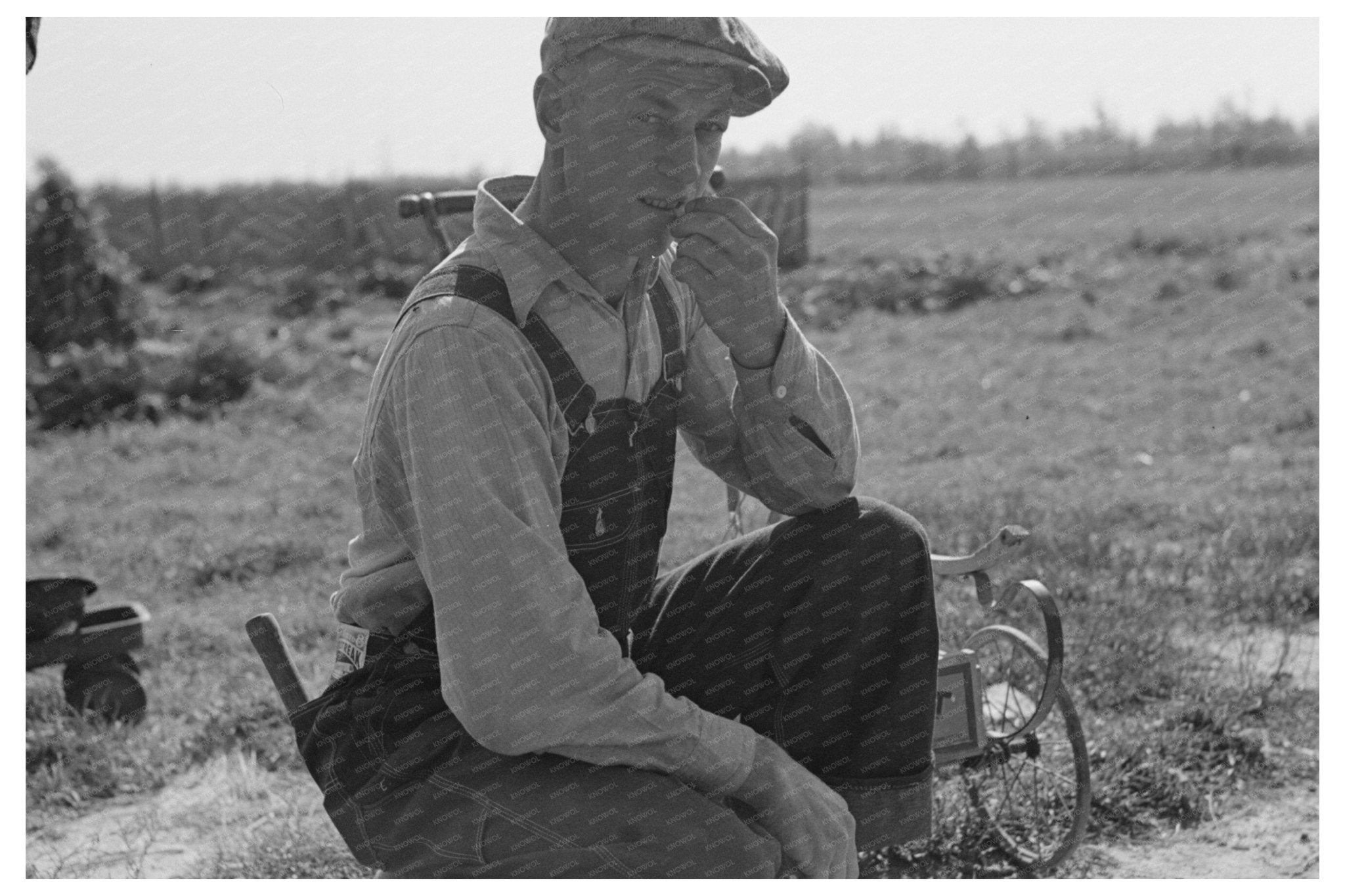 Cut - Over Farmer in Northome Minnesota 1937 - Available at KNOWOL