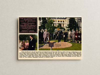 MS: Tablet identifies the cork oak tree planted and dedicated by the Honorable Thomas L. Bailey, Governor of Mississippi, on the State Capitol grounds at Jackson
