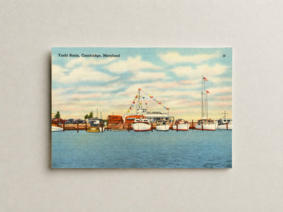 Yacht Basin, Cambridge, Maryland — Vintage Maryland Postcard