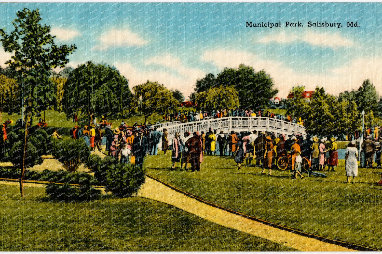 Municipal Park, Salisbury, MD — Vintage Maryland Postcard