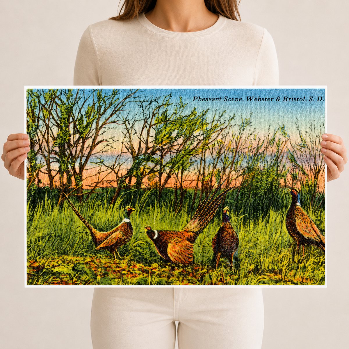 Bristol, SD: Pheasant Scene, Webster & Bristol