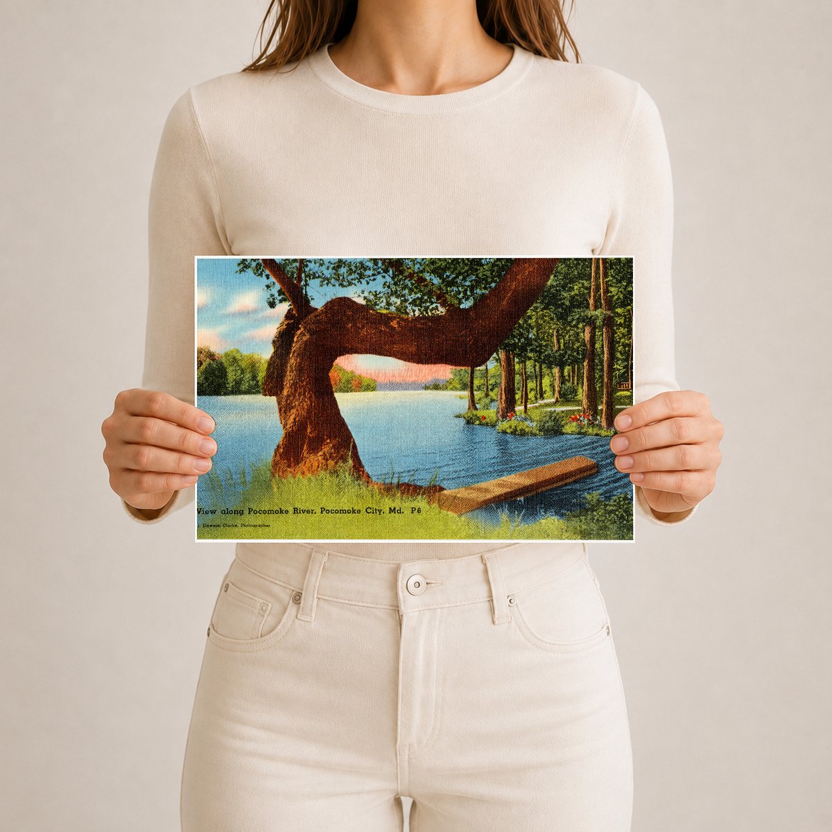 View along Pocomoke River, Pocomoke City, MD — Vintage Maryland Postcard