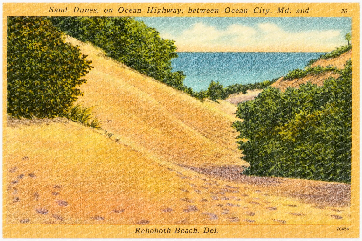 Sand dunes, on Ocean Highway, between Ocean City, MD and Rehoboth Beach. Del. — Vintage Maryland Postcard