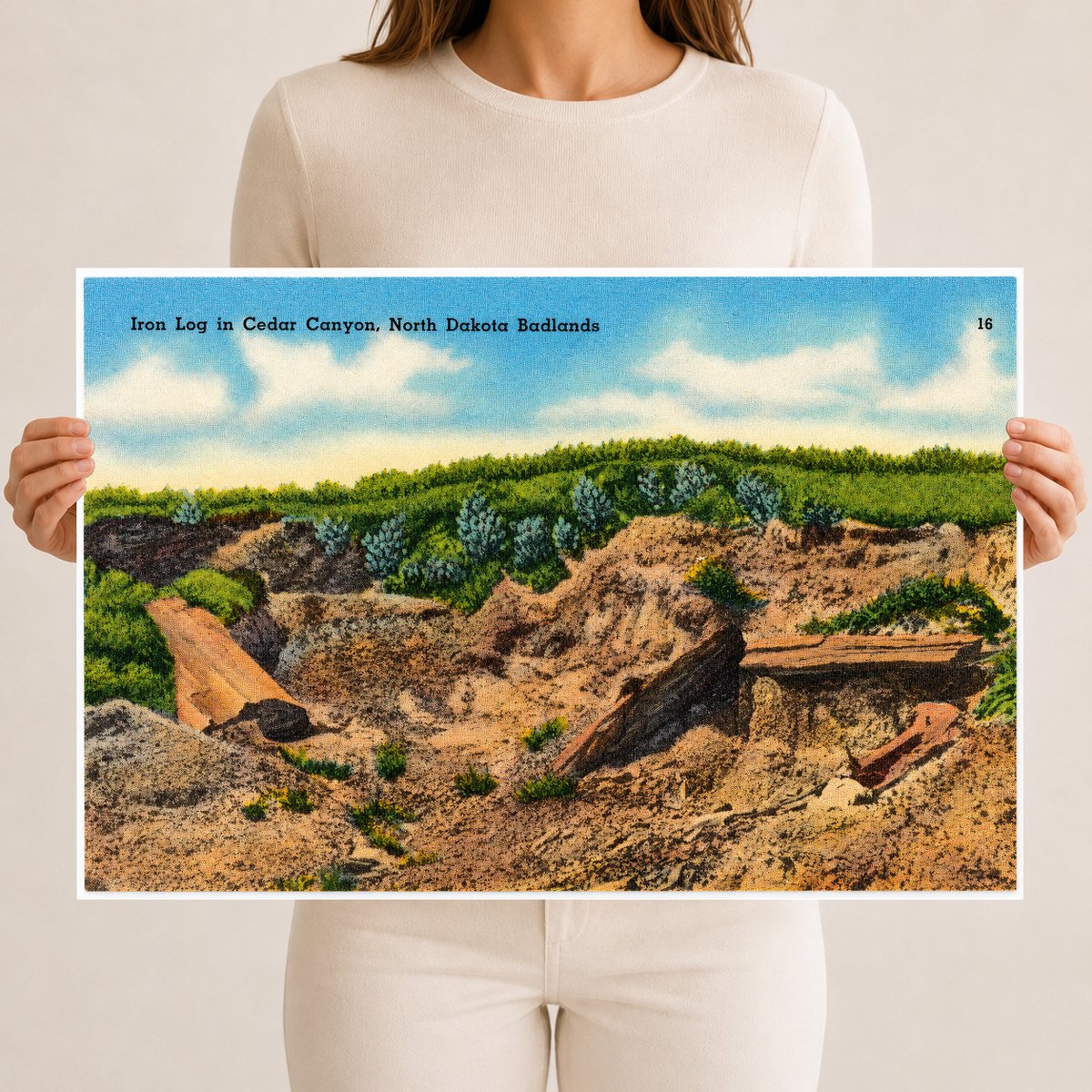 Cedar Canyon, ND: Iron log in Cedar Canyon, North Dakota Badlands