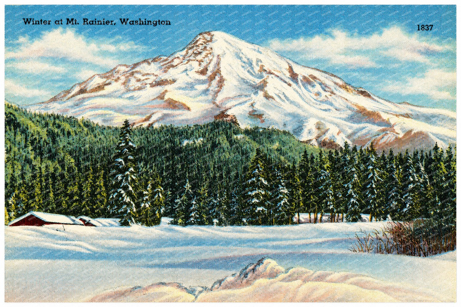 Rainier, Mount, WA: Winter at Mt. Rainier