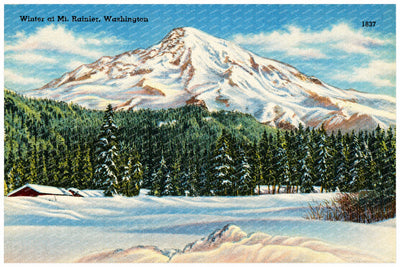Rainier, Mount, WA: Winter at Mt. Rainier