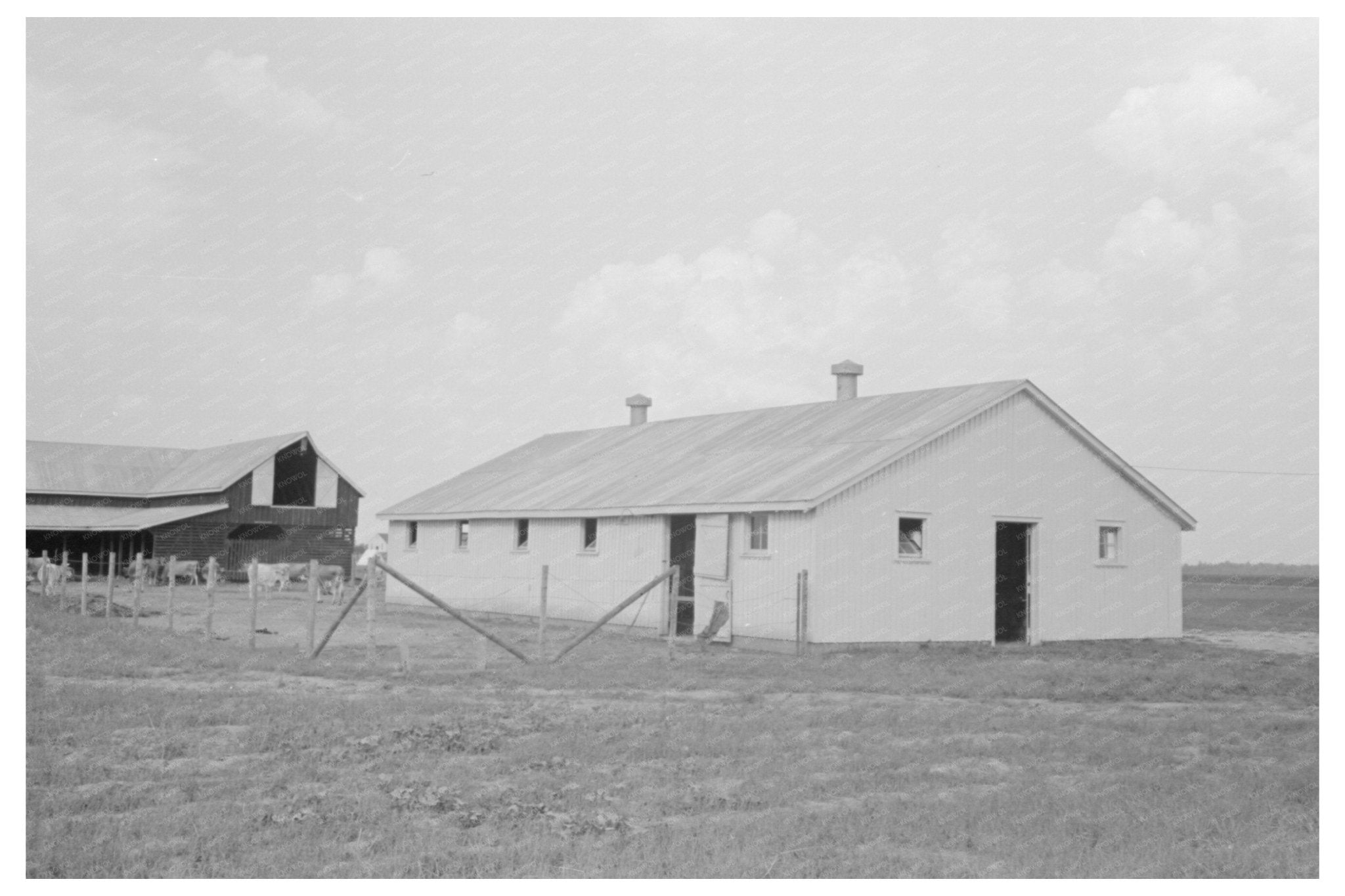 Dairy Barns at Lake Dick Project Arkansas October 1938 - Available at KNOWOL