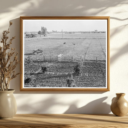 Dairy Farm Transformation in Tulare County 1938 - Available at KNOWOL