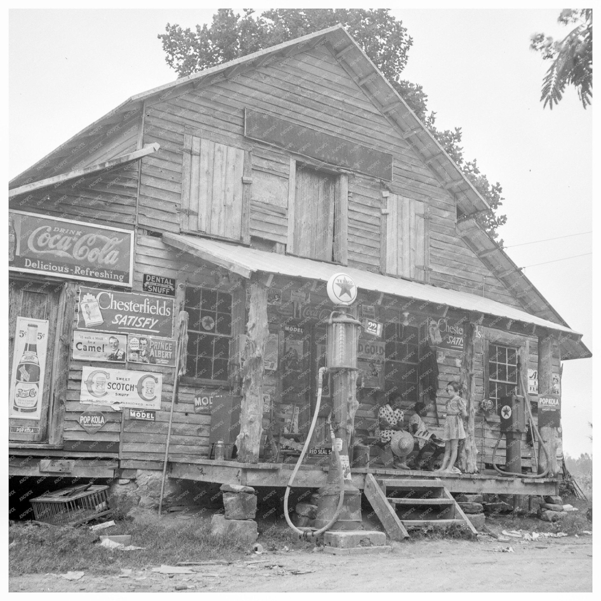 Daughter of Tobacco Sharecropper in North Carolina 1939 - Available at KNOWOL