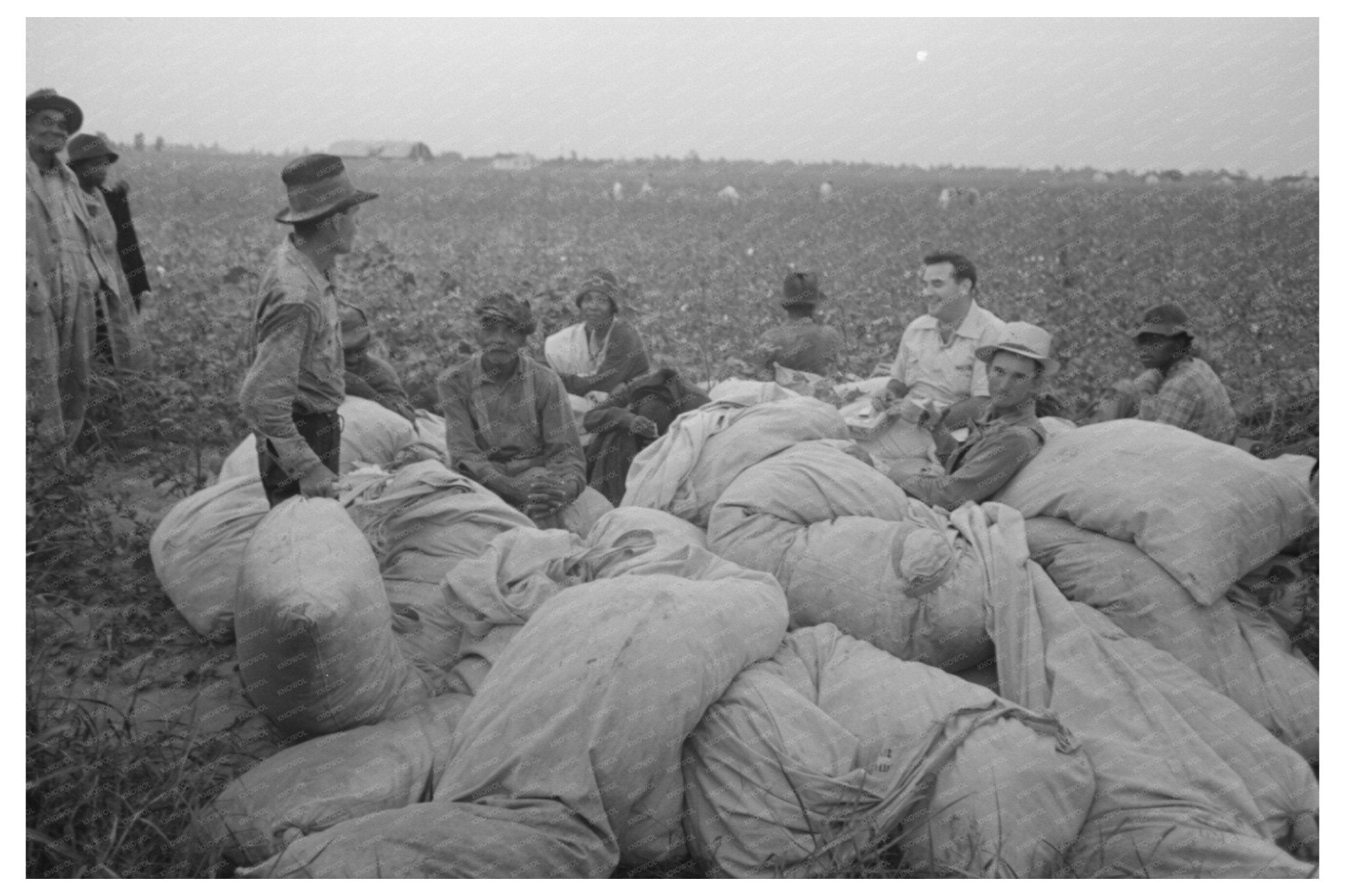 Day Laborers and Cotton Pickers Lake Dick Arkansas 1938 - Available at KNOWOL